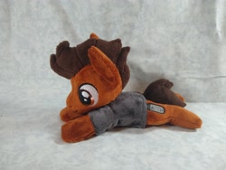 Size: 4096x3072 | Tagged: safe, artist:bluedragonflyplush, earth pony, pony, all time low, clothes, commission, irl, lying down, male, photo, plushie, ponified, prone, rian dawson, shirt, solo, stallion, t-shirt