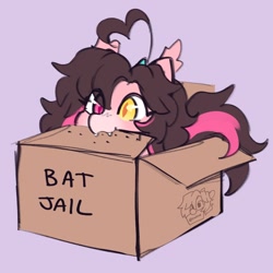 Size: 1000x1000 | Tagged: safe, artist:cuiicie, oc, oc only, oc:key mash, bat pony, pony, ahoge, behaving like a cat, box, cardboard box, cute, cute little fangs, fangs, female, heterochromia, mare, pony in a box, solo