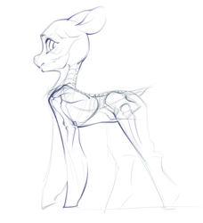 Size: 1836x2010 | Tagged: safe, artist:blue ink, earth pony, pony, anatomy, big ears, concave belly, dock, monochrome, side view, sketch, slender, solo, spine, tail, thin