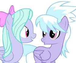 Size: 6000x4960 | Tagged: safe, artist:meghan-zurosaki, cloudchaser, flitter, pegasus, pony, g4, bow, duo, duo female, female, folded wings, looking at each other, looking at someone, mare, simple background, transparent background, vector, wings