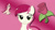 Size: 900x507 | Tagged: safe, artist:dawn-sparkle06, roseluck, earth pony, pony, g4, female, gradient background, mare, solo, wallpaper