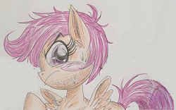 Size: 1133x705 | Tagged: safe, artist:pinkamenademonpie, scootaloo, pegasus, pony, solo, traditional art