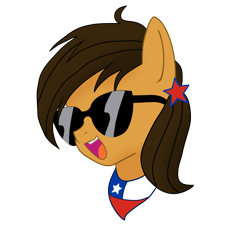 Size: 2000x2000 | Tagged: safe, artist:archooves, oc, oc only, oc:chilenia, earth pony, pony, chile, nation ponies, ponified, simple background, solo, sunglasses, transparent background