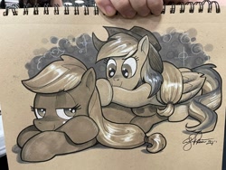 Size: 2048x1536 | Tagged: safe, artist:andy price, applejack, rainbow dash, earth pony, pegasus, pony, g4, accessory theft, applejack's hat, cowboy hat, duo, duo female, female, hat, mare, traditional art