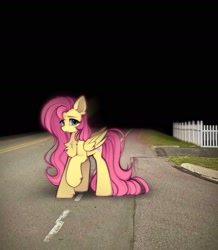 Size: 1569x1801 | Tagged: safe, artist:lerk, fluttershy, pegasus, pony, g4, chest fluff, ear fluff, female, fence, folded wings, liminal space, mare, outdoors, raised hoof, solo, street, wings