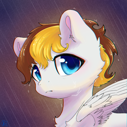 Size: 1200x1200 | Tagged: safe, artist:b_m, oc, oc only, oc:白冥, pegasus, pony, chest fluff, ear fluff, fluffy, male, rain, sad, solo, wings