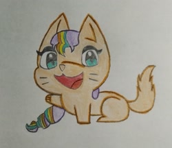 Size: 2155x1863 | Tagged: safe, artist:tom artista, sunny starscout, cat, g5, animal, animal in mlp form, catified, drawing, solo, species swap, traditional art