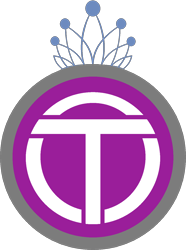 Size: 1080x1452 | Tagged: safe, edit, diamond tiara, equestria girls, g4, badge, club, cutie mark, cutie mark only, emblem, football, football club, logo, no pony, simple background, sports, transparent background