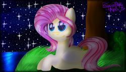 Size: 7000x4000 | Tagged: safe, artist:spaceponyarts, fluttershy, pegasus, pony, g4, absurd resolution, grass, night, shiny eyes, solo, stars, tree, water