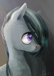 Size: 620x877 | Tagged: safe, artist:wolfiedrawie, marble pie, earth pony, pony, g4, bust, female, mare, solo