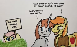 Size: 2047x1250 | Tagged: safe, artist:hoofclid, braeburn, fluttershy, oc, oc:hoofclid, earth pony, pegasus, pony, unicorn, g4, bush, canon x oc, chest freckles, dialogue, female, freckles, gay, hatless, horn, male, mare, marker drawing, missing accessory, open mouth, open smile, shipper on deck, shipping, sign, smiling, stallion, traditional art, trio