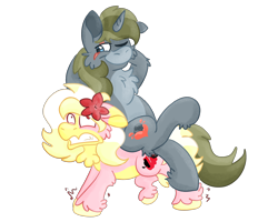 Size: 2500x2000 | Tagged: safe, artist:euspuche, oc, oc only, oc:alabaster, oc:carmen garcía, pony, duo, female, flower, gritted teeth, lily (flower), male, motion lines, oc riding oc, ponies riding ponies, riding, riding a pony, simple background, struggling, teeth, transparent background