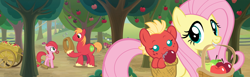 Size: 3500x1080 | Tagged: safe, anonymous artist, big macintosh, fluttershy, oc, unnamed oc, earth pony, pegasus, pony, g4, going to seed, apple, apple tree, baby, baby pony, barrel, basket, big macintosh's yoke, cart, colt, drool, earth pony oc, family, father and child, father and daughter, female, filly, foal, freckles, grin, hoof hold, horse collar, looking at each other, looking at someone, looking back, male, mare, mother and child, mother and son, mouth hold, offspring, outdoors, parent:big macintosh, parent:fluttershy, parents:fluttermac, pegasus oc, screencap background, ship:fluttermac, shipping, smiling, stallion, straight, sweet apple acres, tree