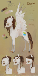 Size: 2480x4944 | Tagged: safe, artist:wolfiedrawie, oc, oc only, oc:drew, pegasus, pony, concave belly, female, mare, reference sheet, ribs, skinny, solo, spread wings, thin, wings