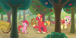 Size: 2160x1080 | Tagged: safe, alternate version, anonymous artist, big macintosh, fluttershy, oc, unnamed oc, earth pony, pegasus, pony, g4, going to seed, apple, apple tree, baby, baby pony, barrel, basket, big macintosh's yoke, cart, colt, drool, earth pony oc, family, father and child, father and daughter, female, filly, foal, food, freckles, grin, hoof hold, horse collar, looking at each other, looking at someone, looking back, male, mare, mother and child, mother and son, mouth hold, offspring, outdoors, parent:big macintosh, parent:fluttershy, parents:fluttermac, pegasus oc, screencap background, ship:fluttermac, shipping, smiling, stallion, straight, sweet apple acres, tree, yoke