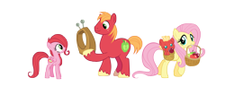 Size: 7800x3300 | Tagged: safe, anonymous artist, big macintosh, fluttershy, oc, unnamed oc, earth pony, pegasus, pony, g4, going to seed, absurd resolution, apple, baby, baby pony, basket, big macintosh's yoke, colt, drool, earth pony oc, family, father and child, father and daughter, female, filly, foal, food, freckles, grin, hoof hold, horse collar, looking at each other, looking at someone, looking back, male, mare, mother and child, mother and son, mouth hold, offspring, parent:big macintosh, parent:fluttershy, parents:fluttermac, pegasus oc, ship:fluttermac, shipping, simple background, smiling, stallion, straight, transparent background, vector