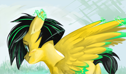 Size: 780x461 | Tagged: safe, artist:beherelongtime, oc, oc only, oc:lightning bug, pegasus, pony, fanfic:song of seven, black mane, cyan eyes, green eyes, pegasus oc, two toned mane, wings, yellow coat