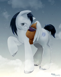 Size: 1448x1827 | Tagged: safe, artist:wolfiedrawie, oc, oc only, oc:shimansky, pegasus, pony, bag, book, cloud, glasses, male, on a cloud, saddle bag, solo, stallion, unshorn fetlocks