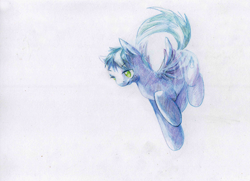 Size: 1654x1200 | Tagged: safe, artist:wolfiedrawie, oc, oc only, pegasus, pony, flying, male, simple background, solo, spread wings, stallion, traditional art, white background, wings