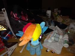 Size: 1222x913 | Tagged: safe, rainbow dash, pegasus, g4, alcohol, anonymous photographer, beer, female, flag, irl, mare, photo, ponydome, table