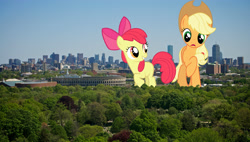 Size: 4258x2414 | Tagged: safe, artist:cherrygrove, artist:thatguy1945, artist:theotterpony, apple bloom, applejack, earth pony, pony, g4, apple sisters, boston, bow, city, cowboy hat, duo, duo female, female, filly, foal, giant pony, giantess, hair bow, hat, high res, highrise ponies, irl, macro, mare, massachusetts, photo, ponies in real life, siblings, sisters, stetson, story included