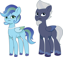 Size: 1302x1194 | Tagged: safe, artist:prixy05, oc, oc only, oc:sky blues, oc:storm shivers, pegasus, pony, g5, my little pony: tell your tale, commission, commissioner:devcup, female, jewelry, male, mare, necklace, pearl necklace, simple background, stallion, transparent background, vector