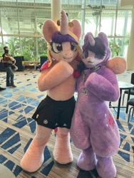 Size: 3024x4032 | Tagged: safe, artist:qtpony, princess cadance, twilight sparkle, human, g4, clothes, convention, duo, fursuit, indoors, irl, irl human, megaplex, photo, ponysuit, skirt