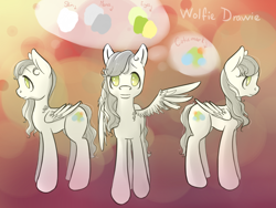 Size: 1200x900 | Tagged: safe, artist:wolfiedrawie, oc, oc only, oc:wolfie drawie, pegasus, pony, abstract background, disabled, female, mare, reference sheet, solo