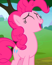 Size: 482x594 | Tagged: safe, pinkie pie, earth pony, pony, g4, the maud couple, eyes closed, outdoors