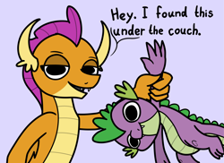 Size: 2048x1488 | Tagged: safe, artist:ewoudcponies, smolder, spike, dragon, g4, dialogue, dragoness, duo, duo male and female, female, holding a dragon, holding a spike, lidded eyes, male, no iris, purple background, simple background, talking to viewer, wingless spike