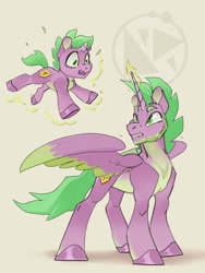 Size: 675x900 | Tagged: safe, artist:anoraknr, spike, alicorn, pony, g4, adult, adult spike, alicorn spike, alicornified, duo, duo male, male, older, older spike, ponified, ponified spike, solo, species swap, winged spike, wingless spike, wings