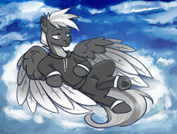 Size: 2751x2081 | Tagged: safe, artist:sonyager, oc, oc only, oc:dream starset, pegasus, pony, clothes, cloud, full body, hoodie, lidded eyes, on a cloud, outdoors, solo