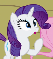 Size: 303x339 | Tagged: safe, screencap, fluttershy, rarity, pegasus, pony, unicorn, g4, my little pony: friendship is magic, season 4, twilight's kingdom, :o, animation error, cropped, horn, indoors, literal jawdrop, offscreen character, open mouth, solo focus, surprised, wat