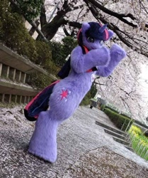 Size: 516x617 | Tagged: safe, artist:tashiroyu, twilight sparkle, g4, fursuit, irl, outdoors, park, photo, ponysuit, solo