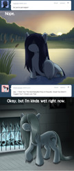 Size: 1500x3475 | Tagged: safe, artist:drxii, oc, oc:ipsywitch, pony, g4, ask, dialogue, female, tumblr, wet, wet mane