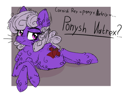 Size: 2323x1812 | Tagged: safe, artist:ybkathan, oc, oc only, oc:natrix capefiv, earth pony, pony, cheek fluff, chest fluff, ear fluff, freckles, lidded eyes, lying down, passepartout, purple body, short mane, sketch, smug, solo, sultry pose, text, unshorn fetlocks