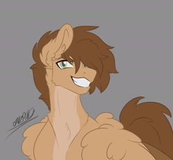 Size: 2048x1890 | Tagged: safe, artist:rhodium, oc, oc only, oc:petrichor, pegasus, chest fluff, ear fluff, fluffy, gray background, grin, male, pegasus oc, simple background, smiling, solo, stallion