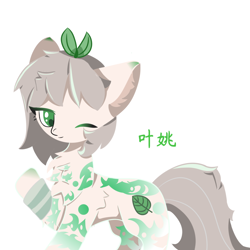 Size: 1080x1080 | Tagged: safe, artist:星荧点点, oc, oc only, oc:叶姚, earth pony, pony, chest fluff, simple background, solo, white background