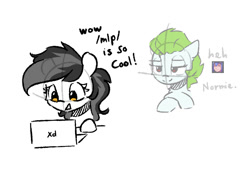 Size: 832x576 | Tagged: safe, artist:morningbullet, oc, oc only, oc:anon, oc:noot, earth pony, pony, /mlp/, computer, duo, earth pony oc, female, laptop computer, mare, simple background, sketch, white background, xd