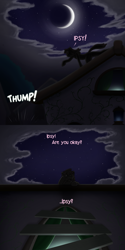 Size: 1500x3000 | Tagged: safe, artist:drxii, berry punch, berryshine, oc, oc:ipsywitch, pony, g4, ask, clothes, dialogue, drunk, female, moon, night, night sky, robe, sky, tumblr