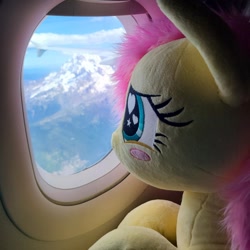 Size: 1791x1791 | Tagged: safe, artist:anonymous, artist:qtpony, fluttershy, g4, airbus, airbus a320, blushing, cloud, female, fluttershy plushie, irl, looking out the window, mare, photo, plane, plushie, solo, window