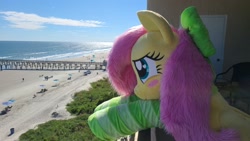 Size: 2242x1261 | Tagged: safe, artist:anonymous, artist:qtpony, fluttershy, pegasus, g4, beach, bipedal, bipedal leaning, blushing, bow, clothes, door, female, fluttershy plushie, green bow, green socks, irl, leaning, mare, ocean, photo, plushie, socks, solo, striped socks, water