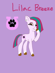 Size: 428x572 | Tagged: source needed, safe, artist:shucku, oc, oc only, oc:lilac breeze, earth pony, pony, g5, my little pony: tell your tale, character name, concave belly, cutie mark, ear piercing, earth pony oc, female, g5 oc, looking at you, mare, offspring, parent:hitch trailblazer, parent:zipp storm, parents:stormblazer, piercing, purple background, reference sheet, simple background, slender, solo, tail, tell your tale accurate, thin, title card, two toned mane, two toned tail, unshorn fetlocks