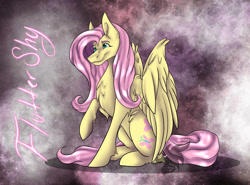 Size: 1039x769 | Tagged: safe, artist:blackdragonart98, fluttershy, pegasus, pony, g4, abstract background, solo