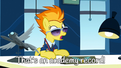 Size: 960x540 | Tagged: safe, edit, edited screencap, screencap, spitfire, pegasus, pony, g4, wonderbolts academy, academy record, captain of the wonderbolts, clothes, desk, desk lamp, drill sergeant, female, impressed, indoors, jaw drop, lamp, lightbulb, mare, meme, office, open mouth, reference, shocked, solo, spitfire's office, spitfire's tie, suit, sunglasses, surprised, uniform, window, wonderbolts, wonderbolts dress uniform