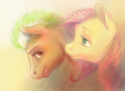 Size: 1976x1434 | Tagged: safe, artist:wolfiedrawie, fluttershy, oc, pegasus, pony, g4, duo, female, male, mare, stallion