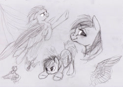 Size: 2597x1836 | Tagged: safe, artist:wolfiedrawie, rainbow dash, pegasus, pony, g4, black and white, female, flying, grayscale, mare, monochrome, sketch, sketch dump, solo, spread wings, traditional art, wings