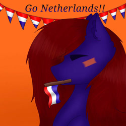 Size: 750x750 | Tagged: safe, artist:xchaotic-artx, oc, oc only, euro 2024, flag, netherlands, old art, solo