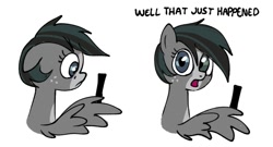 Size: 1141x618 | Tagged: safe, artist:doodlesinky, oc, oc only, oc:inky doodles, pegasus, 2 panel comic, blaze (coat marking), breaking the fourth wall, coat markings, comic, comic strip, facial markings, fourth wall, freckles, meme, meta, pegasus oc, phone, simple background, solo, text, unshorn fetlocks, white background, wing hands, wings