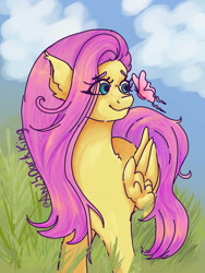 Size: 828x1104 | Tagged: safe, artist:an25darkking, fluttershy, pegasus, pony, g4, female, mare, outdoors, solo